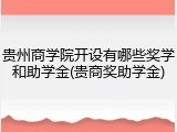 贵州商学院开设有哪些奖学和助学金(贵商奖助学金)