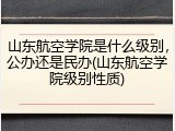 山东航空学院是什么级别，公办还是民办(山东航空学院级别性质)