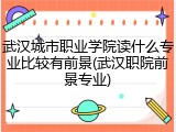 武汉城市职业学院读什么专业比较有前景(武汉职院前景专业)