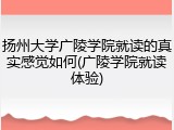 扬州大学广陵学院就读的真实感觉如何(广陵学院就读体验)