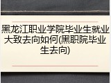 黑龙江职业学院毕业生就业大致去向如何(黑职院毕业生去向)