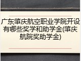 广东肇庆航空职业学院开设有哪些奖学和助学金(肇庆航院奖助学金)