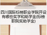 四川国际标榜职业学院开设有哪些奖学和助学金(标榜职院奖助学金)