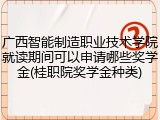 广西智能制造职业技术学院就读期间可以申请哪些奖学金(桂职院奖学金种类)