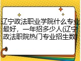 辽宁政法职业学院什么专业最好，一年招多少人(辽宁政法职院热门专业招生数)