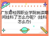 广东碧桂园职业学院就读期间挂科了怎么办呢？(挂科怎么办)