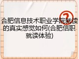 合肥信息技术职业学院就读的真实感觉如何(合肥信职就读体验)