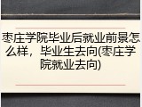 枣庄学院毕业后就业前景怎么样，毕业生去向(枣庄学院就业去向)