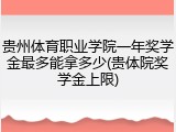 贵州体育职业学院一年奖学金最多能拿多少(贵体院奖学金上限)