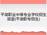 平湖职业中等专业学校招生简章(平湖职专招生)
