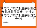 湖南电子科技职业学院哪些专业就业前景好，为什么(湖南电子科技职业学院优势专业)