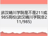 武汉晴川学院是不是211或985高校(武汉晴川学院非211/985)