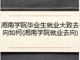 湘南学院毕业生就业大致去向如何(湘南学院就业去向)