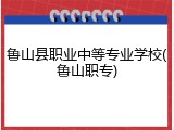 鲁山县职业中等专业学校(鲁山职专)