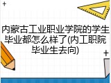 内蒙古工业职业学院的学生毕业都怎么样了(内工职院毕业生去向)