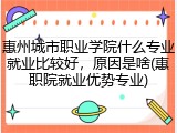 惠州城市职业学院什么专业就业比较好，原因是啥(惠职院就业优势专业)