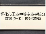 怀化市工业中等专业学校分数线(怀化工校分数线)