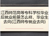 江西师范高等专科学校毕业后就业前景怎么样，毕业生去向(江西师专就业去向)
