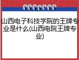 山西电子科技学院的王牌专业是什么(山西电院王牌专业)