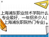 上海浦东职业技术学院什么专业最好，一年招多少人(上海浦东职院热门专业)