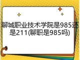 聊城职业技术学院是985还是211(聊职是985吗)