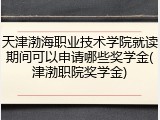 天津渤海职业技术学院就读期间可以申请哪些奖学金(津渤职院奖学金)