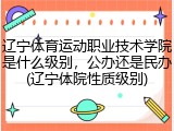 辽宁体育运动职业技术学院是什么级别，公办还是民办(辽宁体院性质级别)