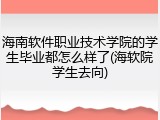 海南软件职业技术学院的学生毕业都怎么样了(海软院学生去向)
