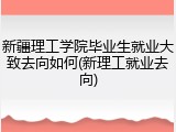 新疆理工学院毕业生就业大致去向如何(新理工就业去向)