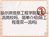 哈尔滨信息工程学院是双一流高校吗，简单介绍(哈工程是双一流吗)