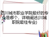 四川城市职业学院最好的专业是哪个，详细阐述(川城职院最佳专业)