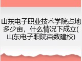 山东电子职业技术学院占地多少亩，什么情况下成立(山东电子职院亩数建校)