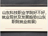 山东科技职业学院好不好，就业现状及发展趋势(山东职院就业前景)