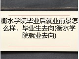 衡水学院毕业后就业前景怎么样，毕业生去向(衡水学院就业去向)