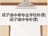成子湖中等专业学校补课(成子湖中专补课)