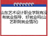山东艺术设计职业学院有没有就业指导，好就业吗(山艺职院就业情况)