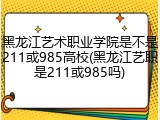 黑龙江艺术职业学院是不是211或985高校(黑龙江艺职是211或985吗)