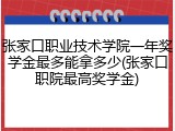 张家口职业技术学院一年奖学金最多能拿多少(张家口职院最高奖学金)
