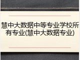 慧中大数据中等专业学校所有专业(慧中大数据专业)