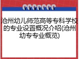 沧州幼儿师范高等专科学校的专业设置概况介绍(沧州幼专专业概览)
