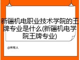 新疆机电职业技术学院的王牌专业是什么(新疆机电学院王牌专业)