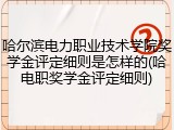哈尔滨电力职业技术学院奖学金评定细则是怎样的(哈电职奖学金评定细则)