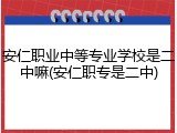 安仁职业中等专业学校是二中嘛(安仁职专是二中)