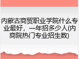 内蒙古商贸职业学院什么专业最好，一年招多少人(内商院热门专业招生数)