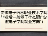 安徽电子信息职业技术学院毕业后一般能干什么呢("安徽电子学院就业方向")