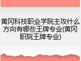 黄冈科技职业学院主攻什么方向有哪些王牌专业(黄冈职院王牌专业)