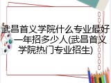 武昌首义学院什么专业最好，一年招多少人(武昌首义学院热门专业招生)