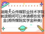 湖南大众传媒职业技术学院就读期间可以申请哪些奖学金(湘传媒院奖学金种类)
