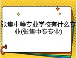 张集中等专业学校有什么专业(张集中专专业)
