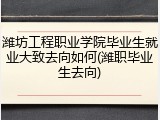 潍坊工程职业学院毕业生就业大致去向如何(潍职毕业生去向)